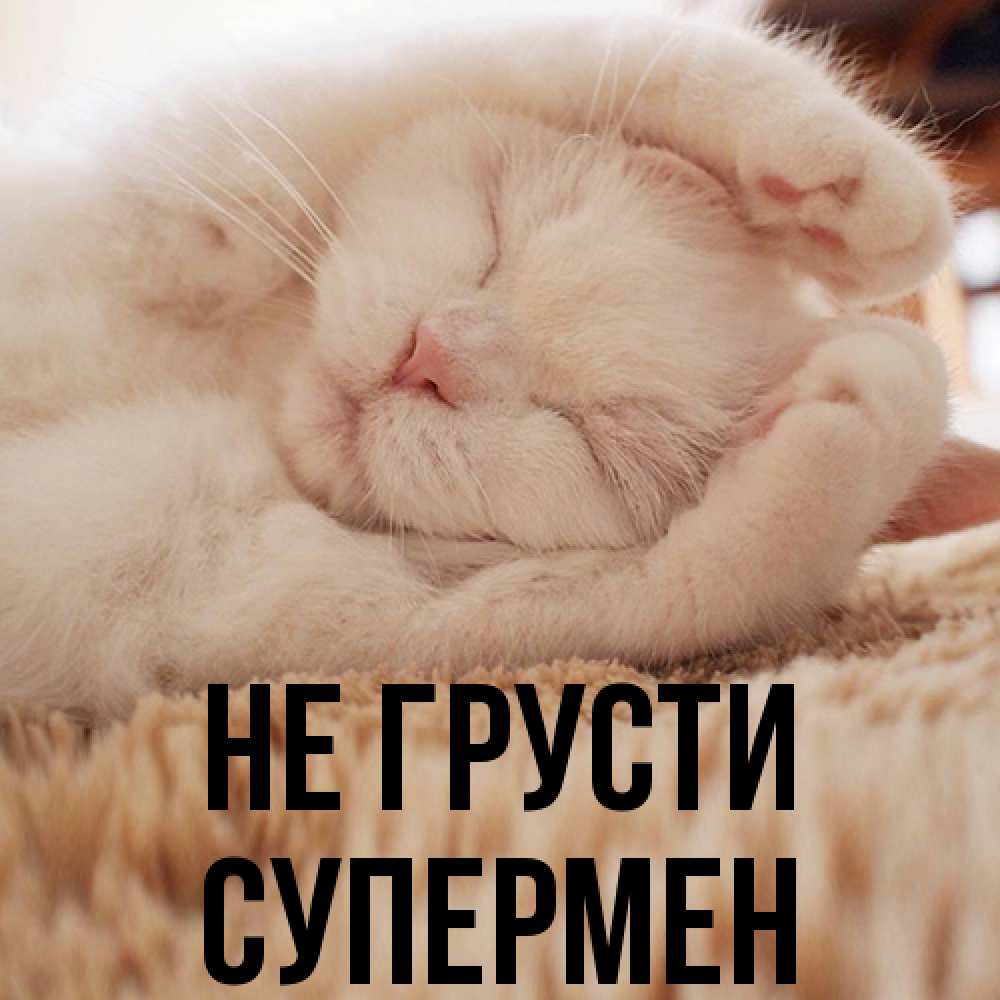 Открытка на каждый день с именем, Супермен Не грусти Котенок спит Прикольная открытка с пожеланием онлайн скачать бесплатно 