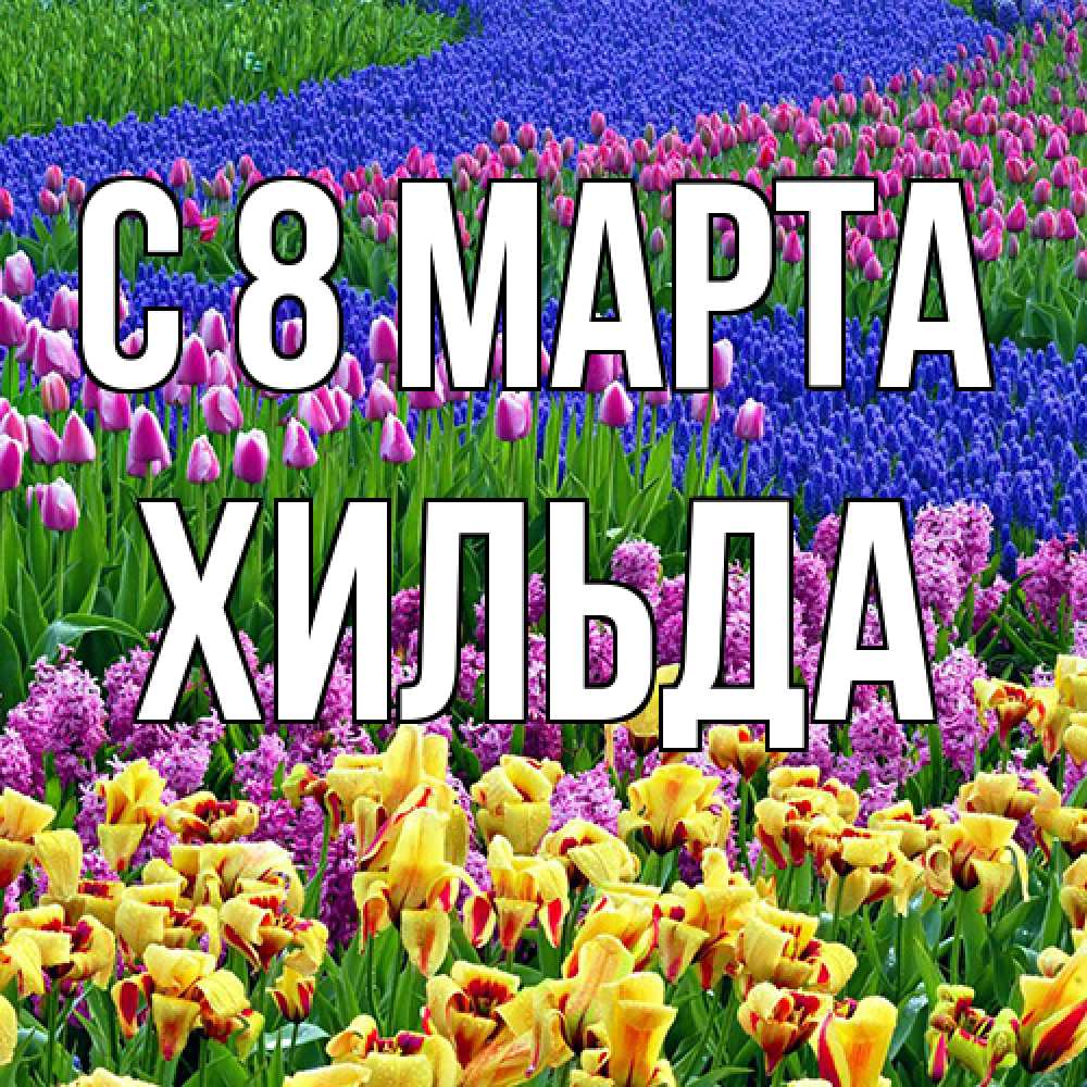 Открытка на каждый день с именем, Хильда C 8 МАРТА цветы Прикольная открытка с пожеланием онлайн скачать бесплатно 