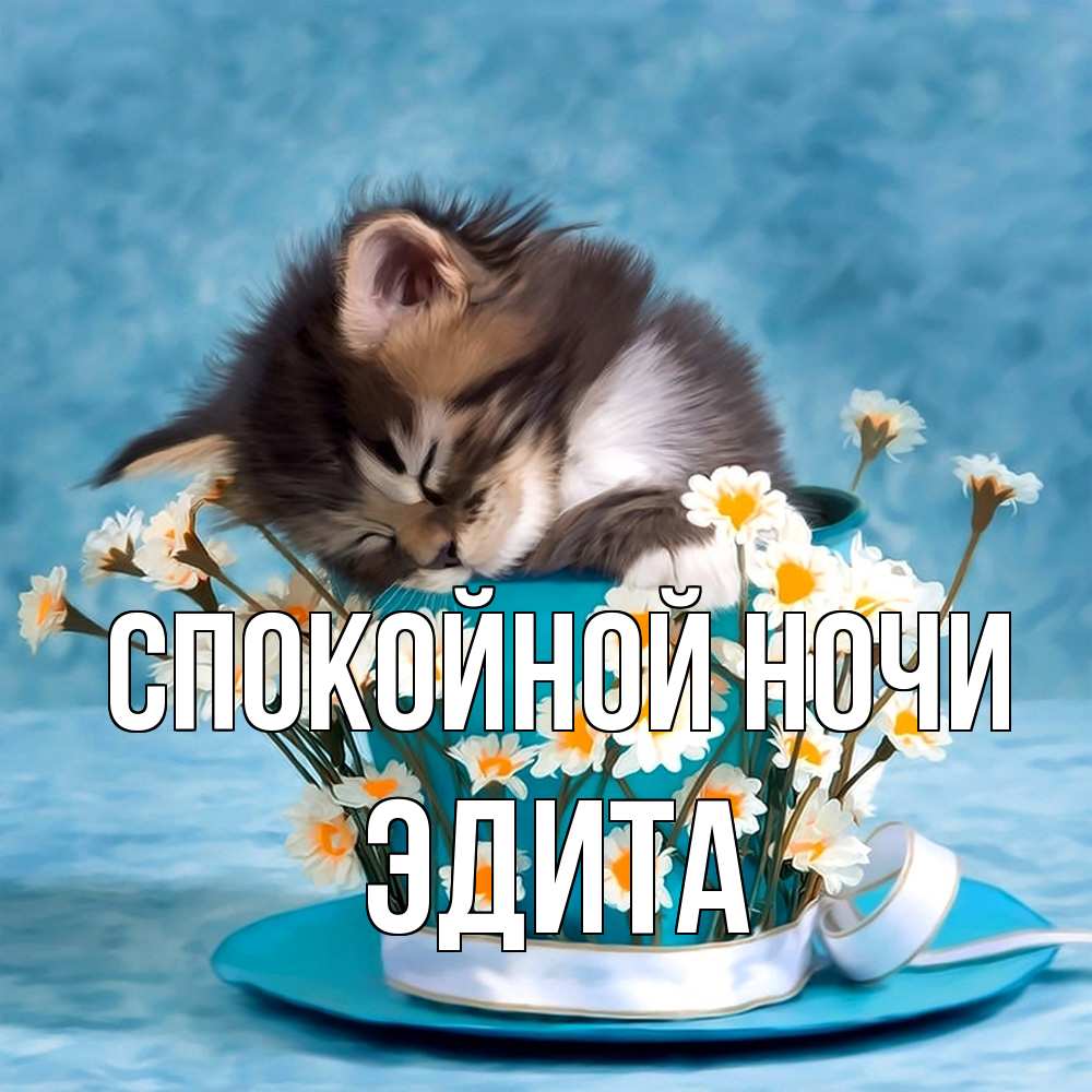 Открытка на каждый день с именем, Эдита Спокойной ночи котенок спит в кружке с блюдцем Прикольная открытка с пожеланием онлайн скачать бесплатно 