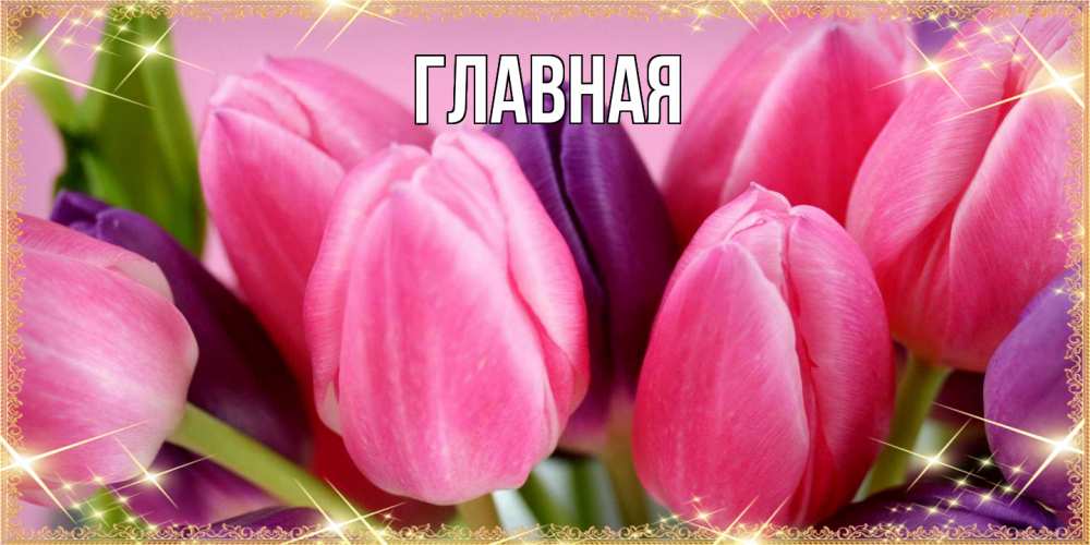 Открытка на каждый день с именем, настя Главная тюльпаны для женщины на международный женский день Прикольная открытка с пожеланием онлайн скачать бесплатно 