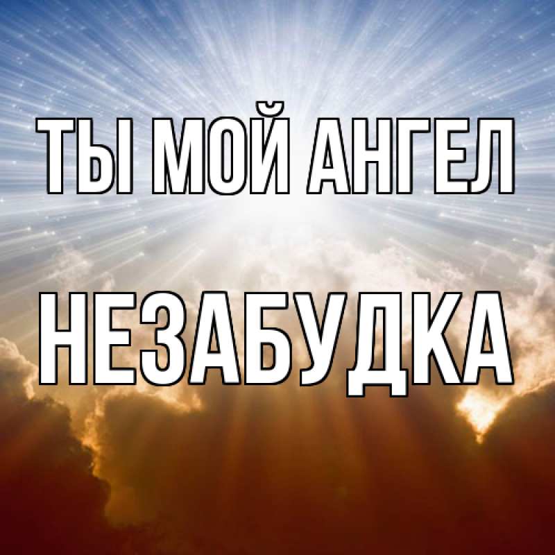 Картинка Ты мой ангел, Незабудка
