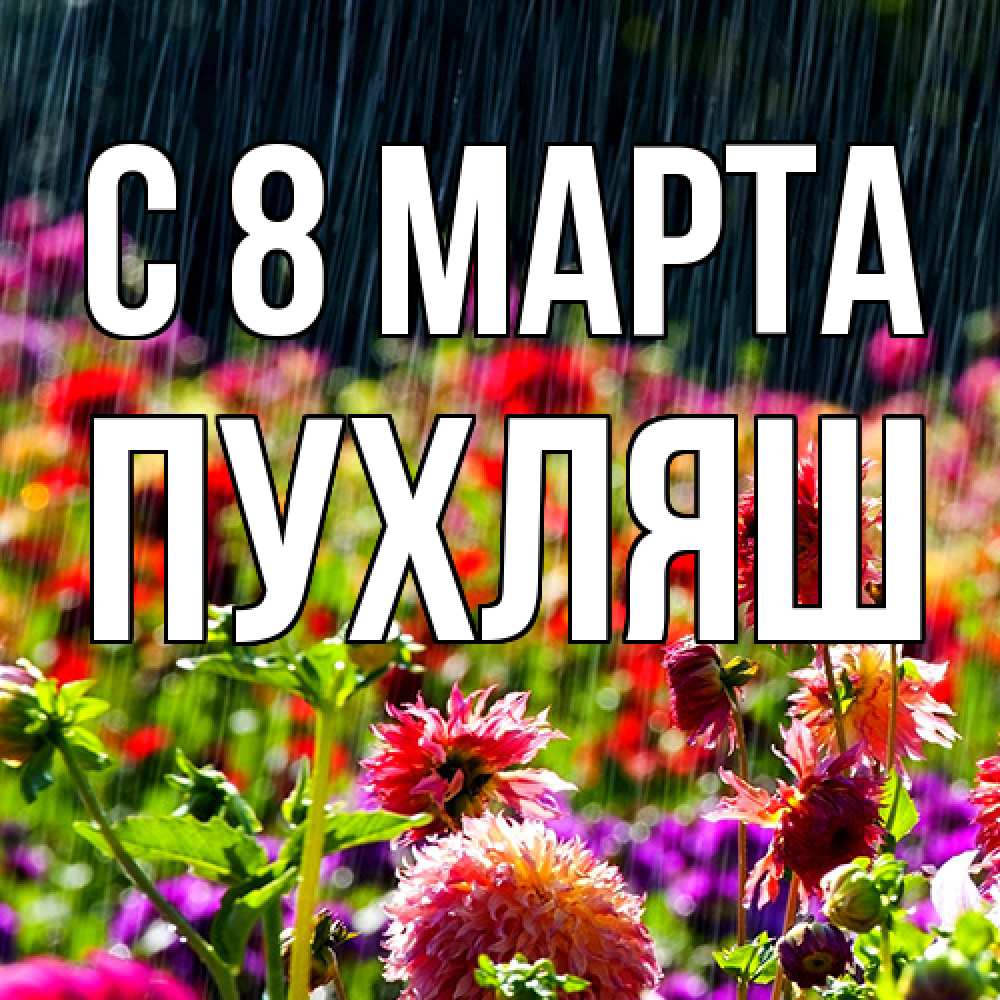 Открытка на каждый день с именем, пухляш C 8 МАРТА цветы под дождиком к международному женскому дню Прикольная открытка с пожеланием онлайн скачать бесплатно 