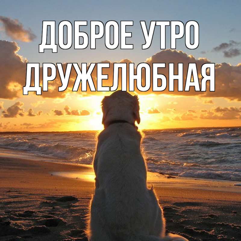 Картинка Доброе утро, Дружелюбная