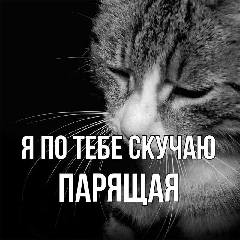 Картинка Я по тебе скучаю, Паpящая