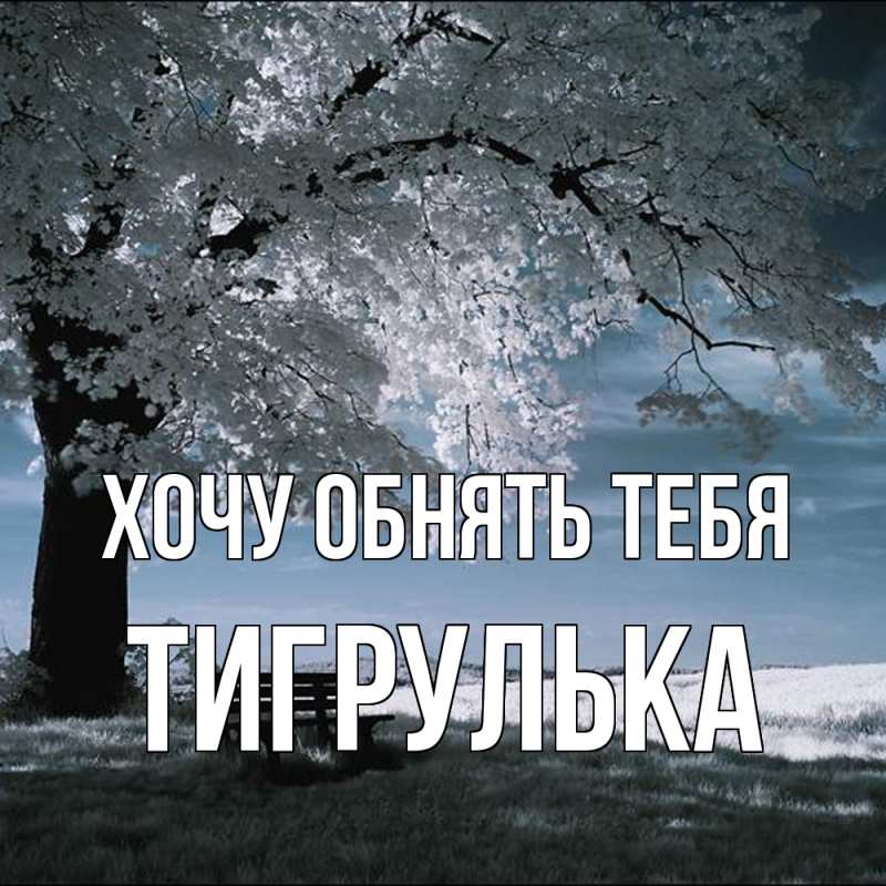Картинка Хочу обнять тебя, тигрулька