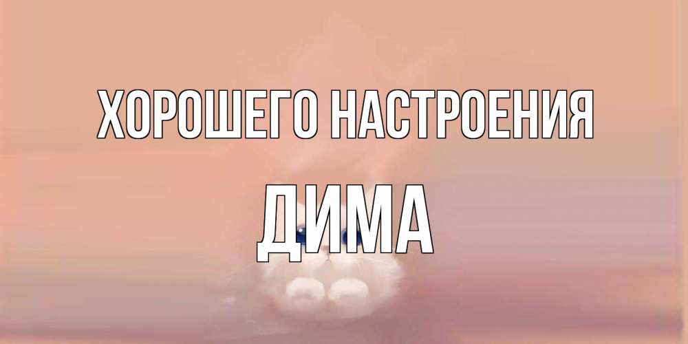 Открытка на каждый день с именем, Дима Хорошего настроения кошка Прикольная открытка с пожеланием онлайн скачать бесплатно 