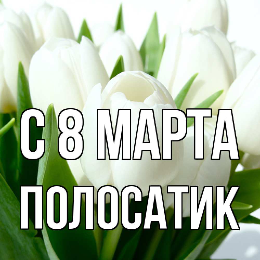 Открытка на каждый день с именем, полосатик C 8 МАРТА цветы Прикольная открытка с пожеланием онлайн скачать бесплатно 