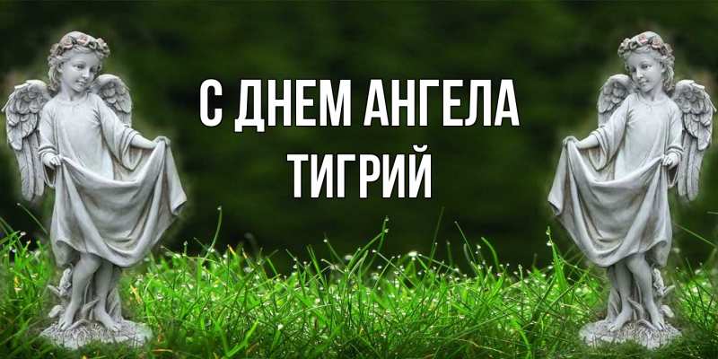 Картинка С днем ангела, Тигрий