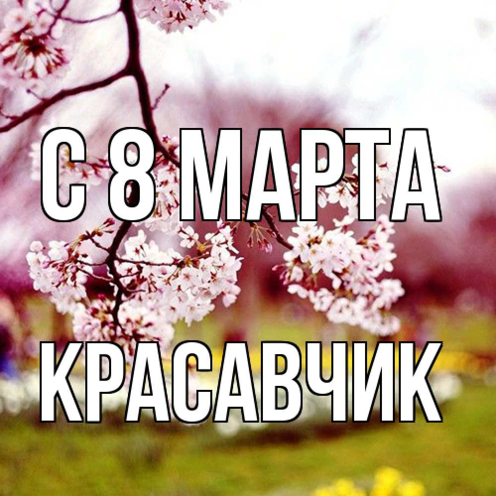 Открытка на каждый день с именем, Красавчик C 8 МАРТА яблоня Прикольная открытка с пожеланием онлайн скачать бесплатно 