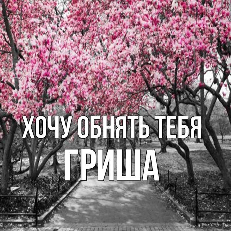 Картинка Хочу обнять тебя, Гриша