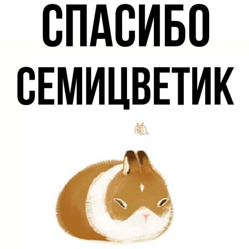 Картинка Спасибо, семицветик