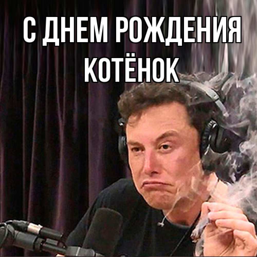 Открытка на каждый день с именем, Котёнок С днем рождения МЕМ Прикольная открытка с пожеланием онлайн скачать бесплатно 