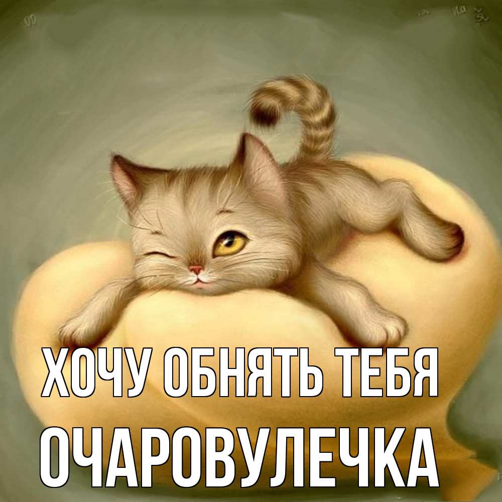 Открытка на каждый день с именем, Очаровулечка Хочу обнять тебя кошечка Прикольная открытка с пожеланием онлайн скачать бесплатно 
