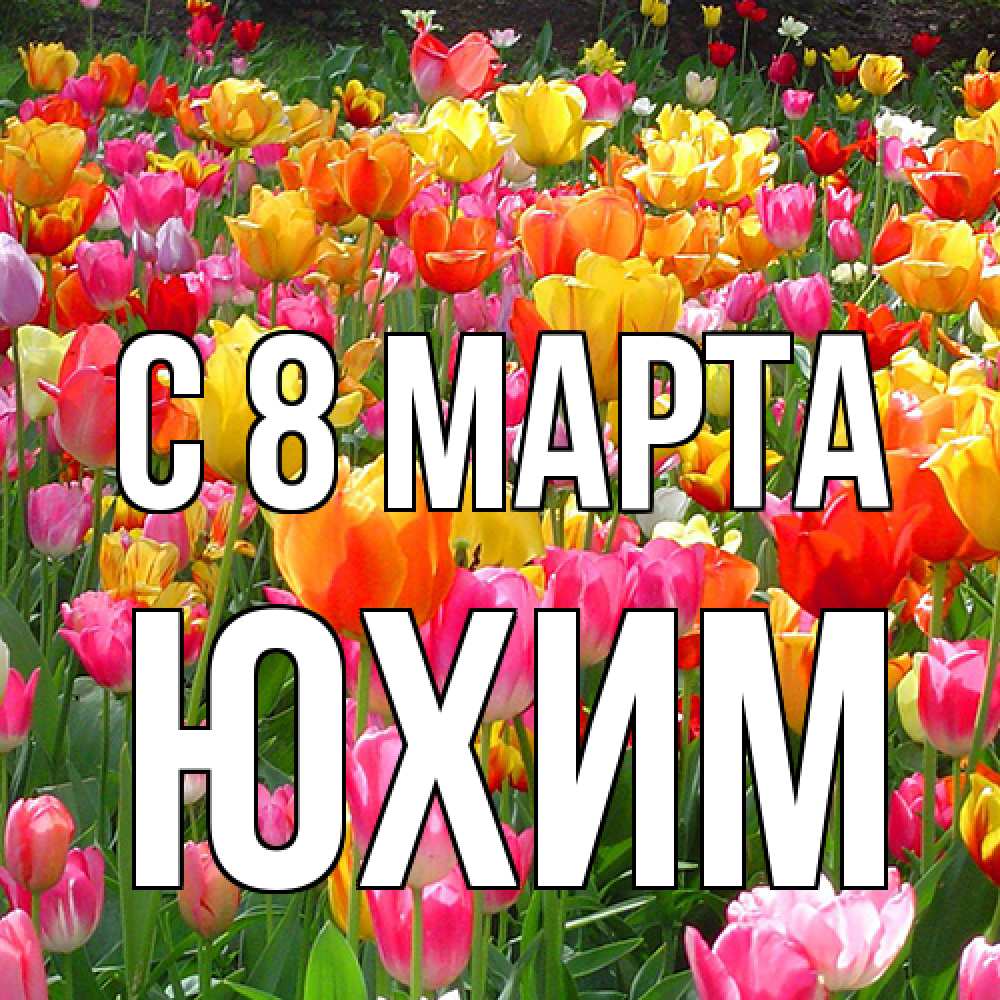 Открытка на каждый день с именем, Юхим C 8 МАРТА на международный женский день Прикольная открытка с пожеланием онлайн скачать бесплатно 
