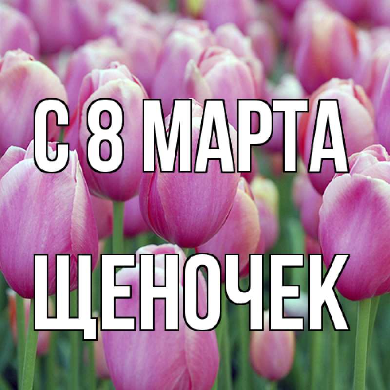 Картинка C 8 МАРТА, Щеночек