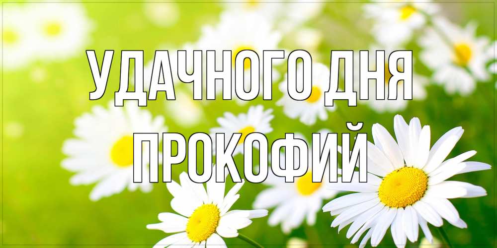 Открытка на каждый день с именем, Прокофий Удачного дня открытка с ромашками на зеленом фоне Прикольная открытка с пожеланием онлайн скачать бесплатно 