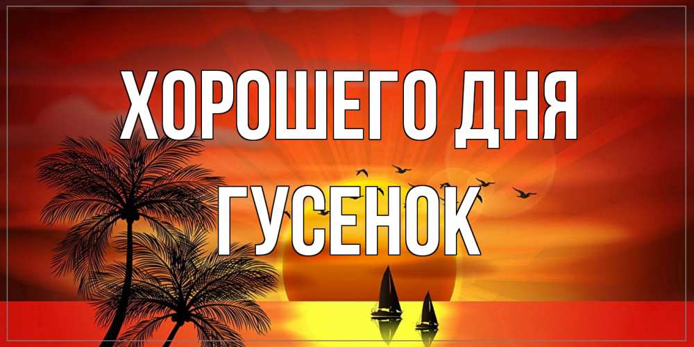 Открытка на каждый день с именем, гусенок Хорошего дня открытки с пожеланиями хорошего дня Прикольная открытка с пожеланием онлайн скачать бесплатно 
