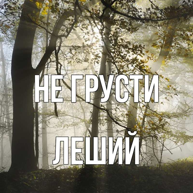 Картинка Не грусти, Леший