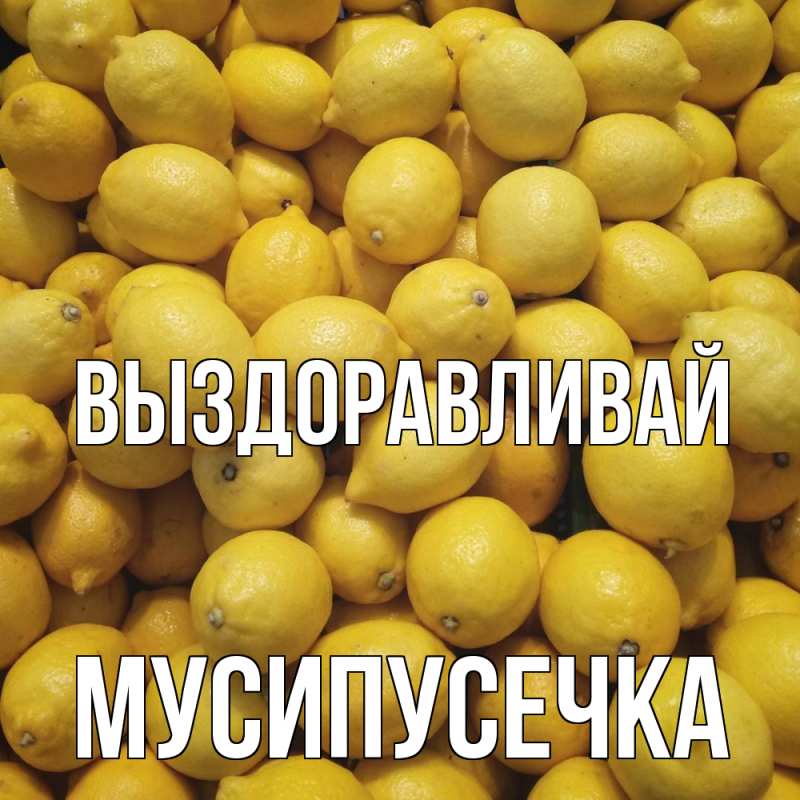 Картинка Выздоравливай, Мусипусечка