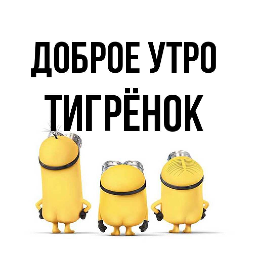 Открытка на каждый день с именем, Тигрёнок Доброе утро подписать открытку онлайн бесплатно Прикольная открытка с пожеланием онлайн скачать бесплатно 