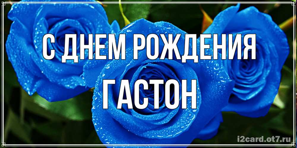 Открытка на каждый день с именем, Гастон С днем рождения розы с синим цветом Прикольная открытка с пожеланием онлайн скачать бесплатно 