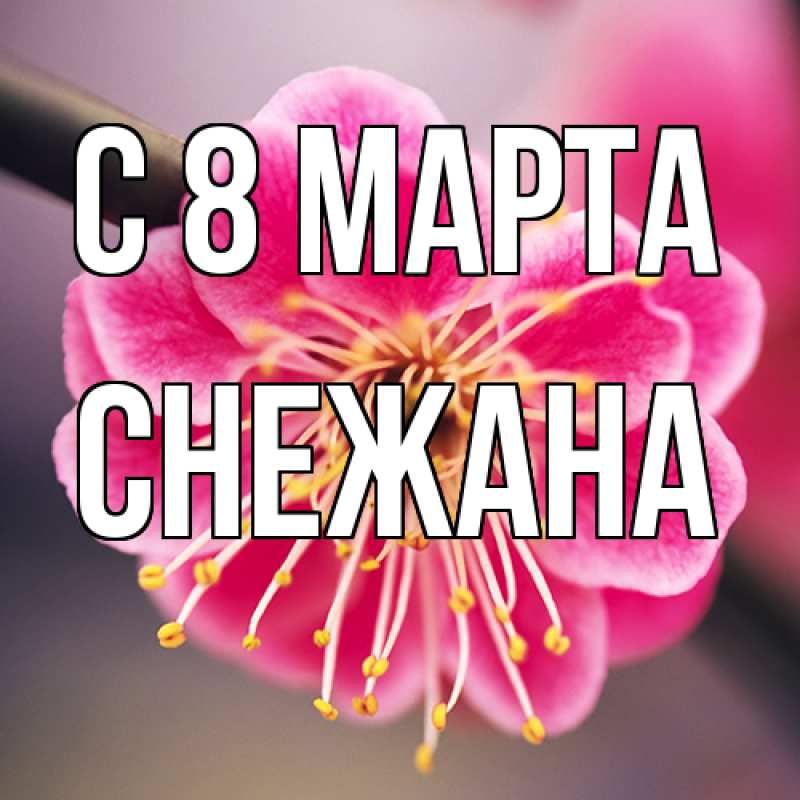 Картинка C 8 МАРТА, Снежана