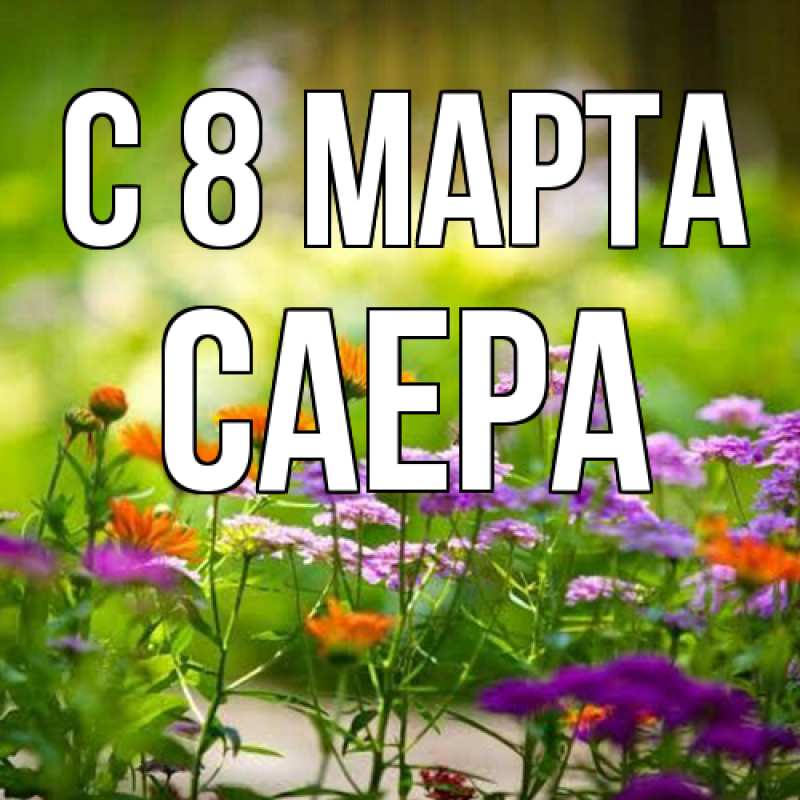 Картинка C 8 МАРТА, Саера