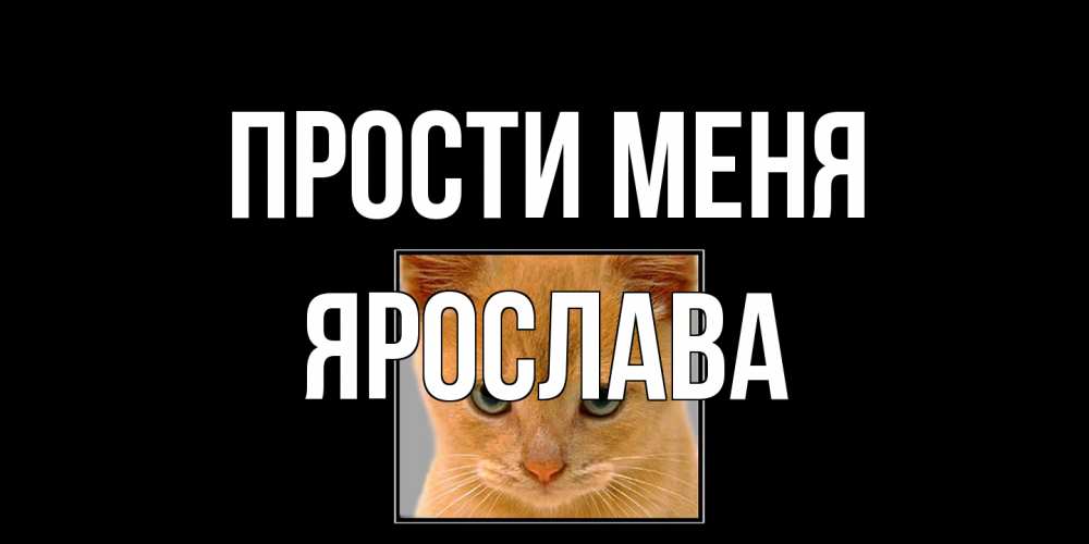 Открытка на каждый день с именем, Ярослава Прости меня рыжий грустный кот просит прощения Прикольная открытка с пожеланием онлайн скачать бесплатно 
