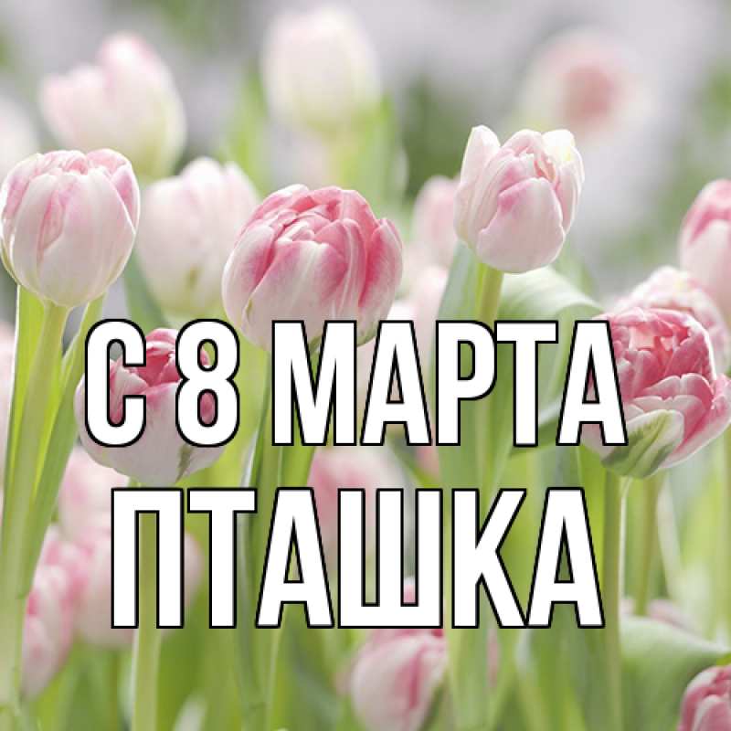 Картинка C 8 МАРТА, пташка