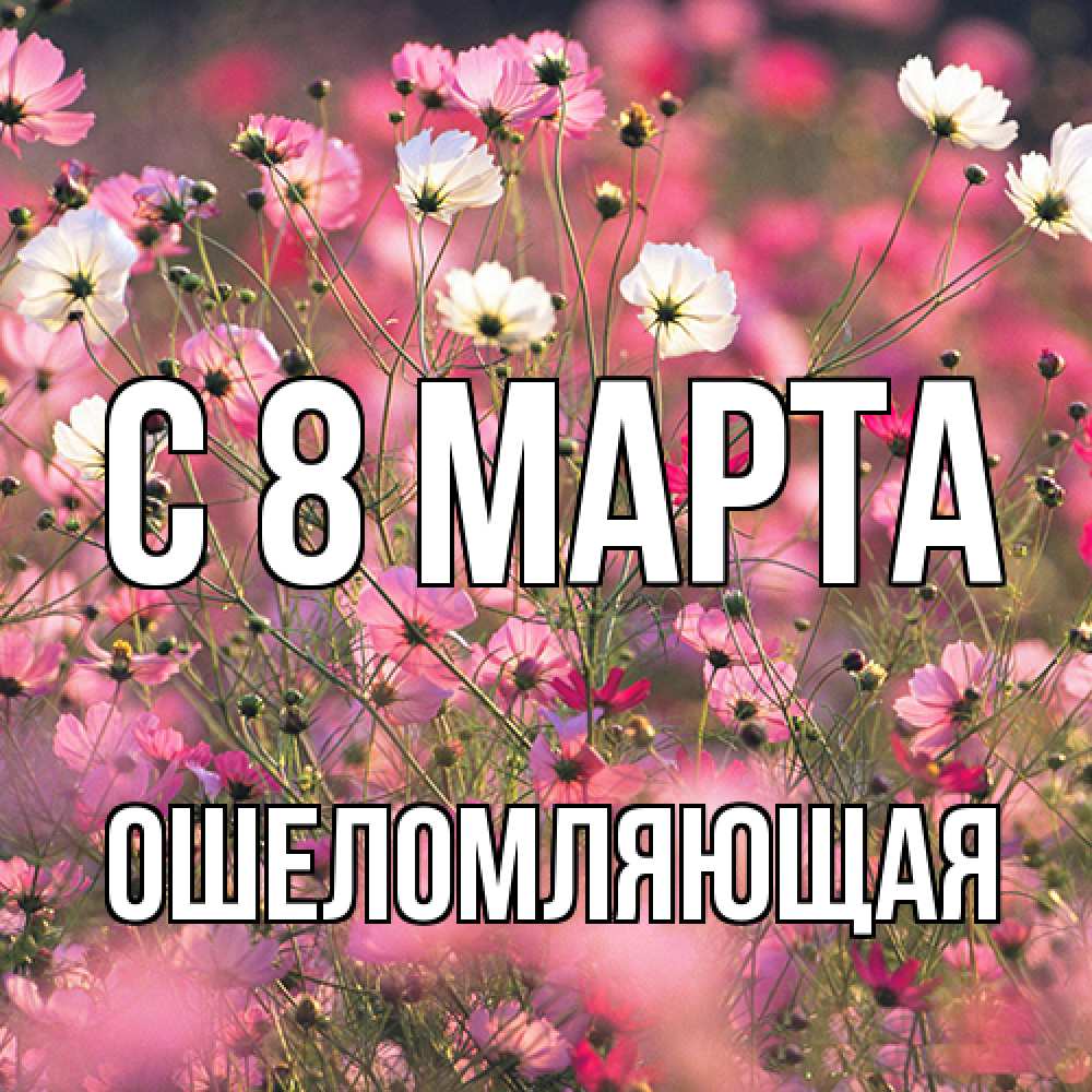 Открытка на каждый день с именем, Ошеломляющая C 8 МАРТА красиво 1 Прикольная открытка с пожеланием онлайн скачать бесплатно 
