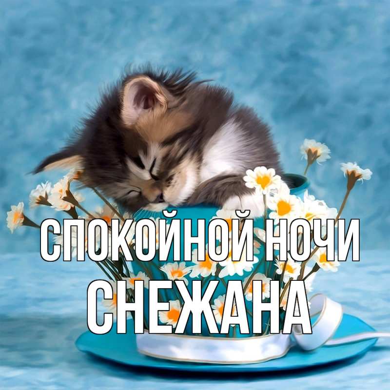 Картинка Спокойной ночи, Снежана