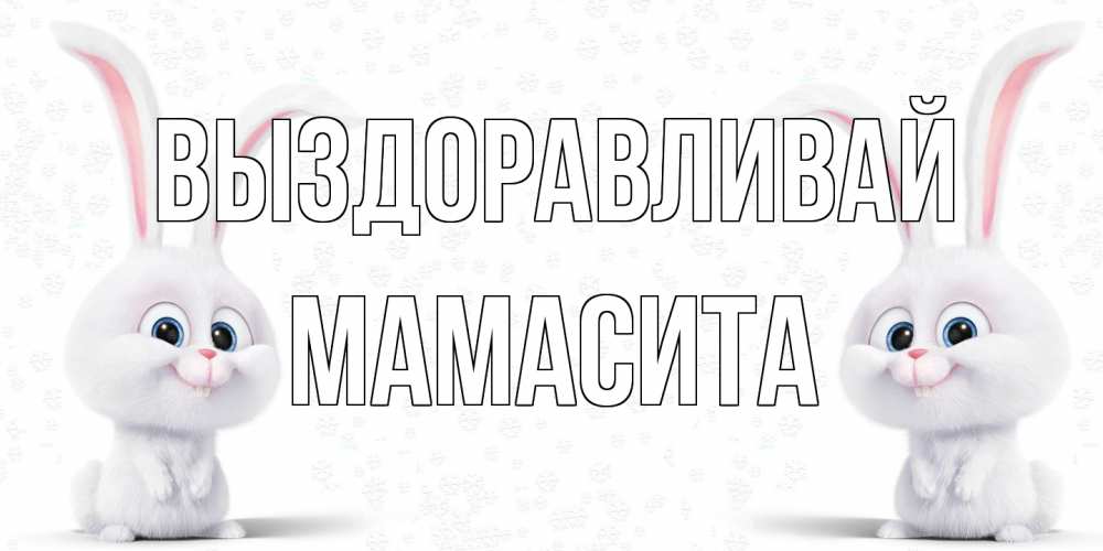 Открытка на каждый день с именем, Мамасита Выздоравливай не болей с зайцем Прикольная открытка с пожеланием онлайн скачать бесплатно 