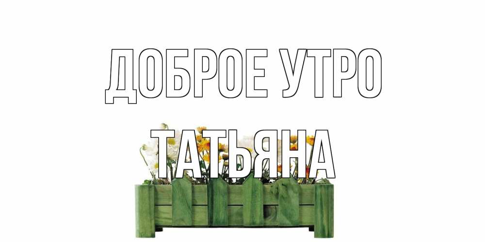 Открытка на каждый день с именем, Татьяна Доброе утро цветы Прикольная открытка с пожеланием онлайн скачать бесплатно 