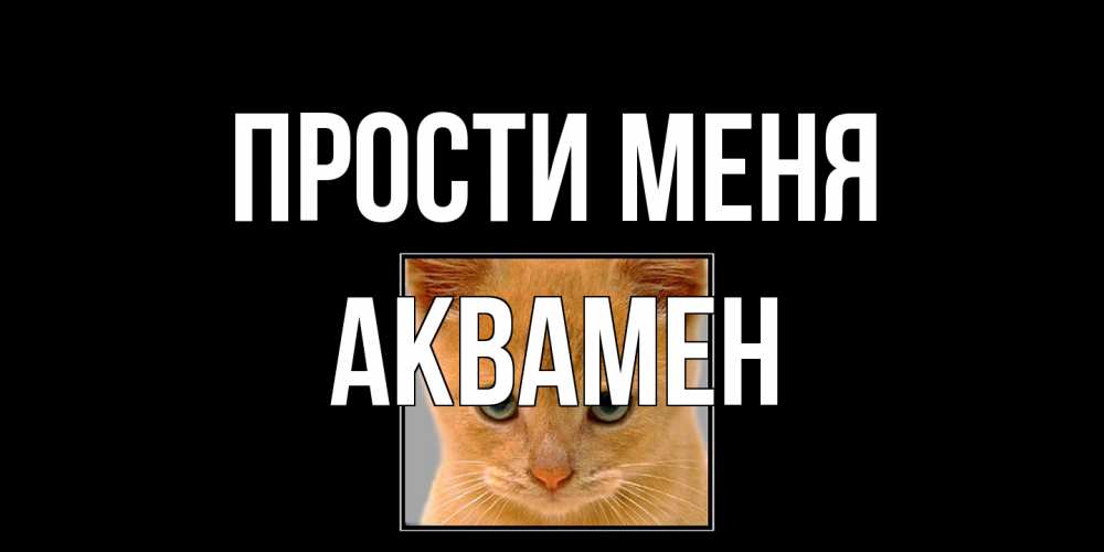Открытка на каждый день с именем, Аквамен Прости меня рыжий грустный кот просит прощения Прикольная открытка с пожеланием онлайн скачать бесплатно 