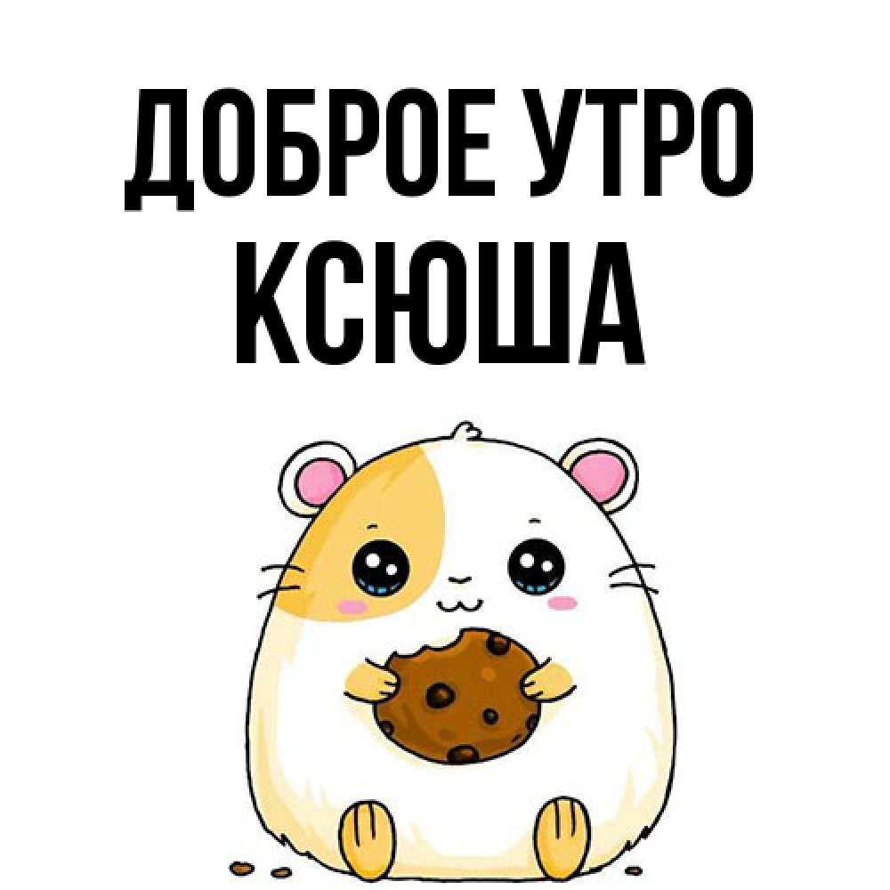 Открытка на каждый день с именем, Ксюша Доброе утро есть печеньку. Утречко Прикольная открытка с пожеланием онлайн скачать бесплатно 