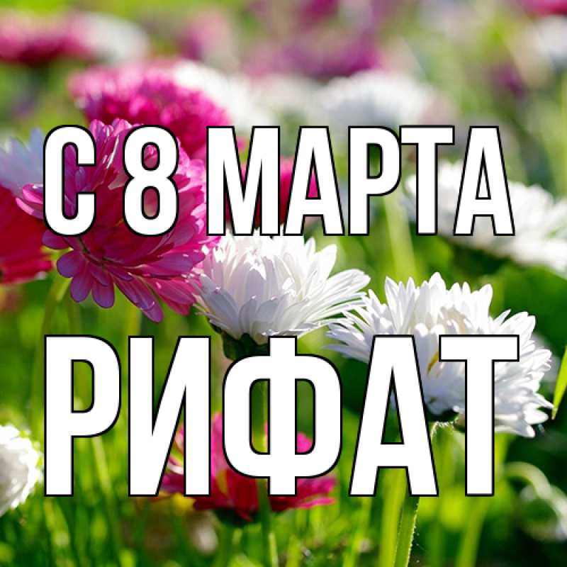 Картинка C 8 МАРТА, Рифат