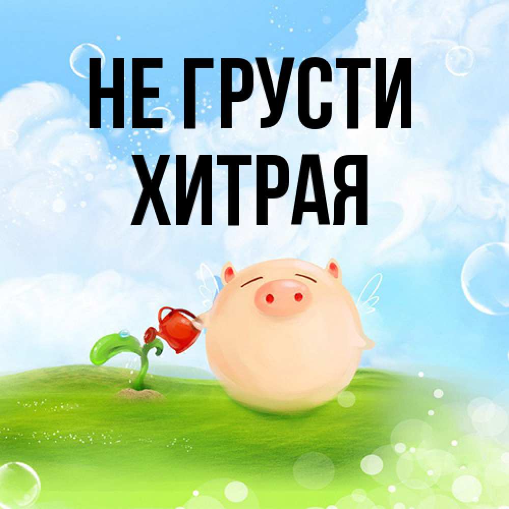 Открытка на каждый день с именем, хитрая Не грусти поливает цветок порося Прикольная открытка с пожеланием онлайн скачать бесплатно 