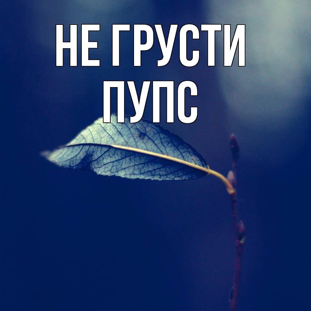 Открытка на каждый день с именем, Пупс Не грусти растение Прикольная открытка с пожеланием онлайн скачать бесплатно 