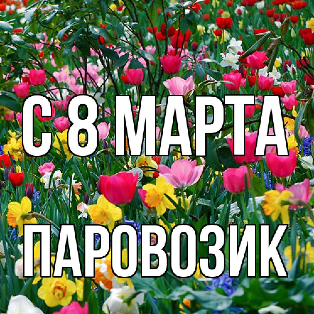 Открытка на каждый день с именем, паровозик C 8 МАРТА с международным женским днем поздравления для женщины Прикольная открытка с пожеланием онлайн скачать бесплатно 