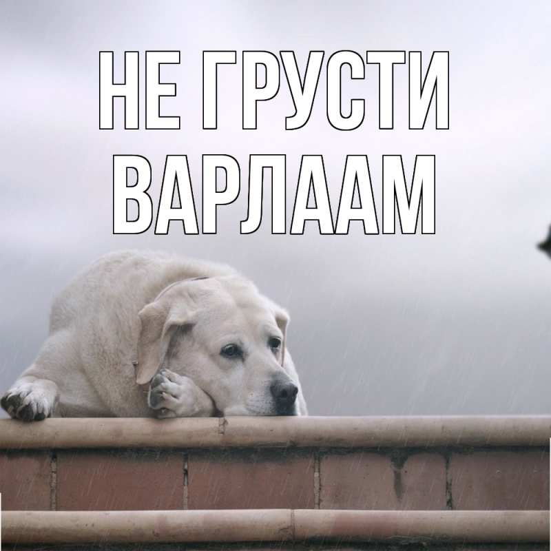 Картинка Не грусти, Варлаам