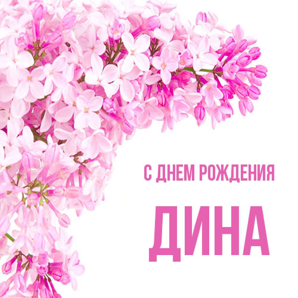 Открытка на каждый день с именем, Дина С днем рождения Сирень на белом фоне Прикольная открытка с пожеланием онлайн скачать бесплатно 