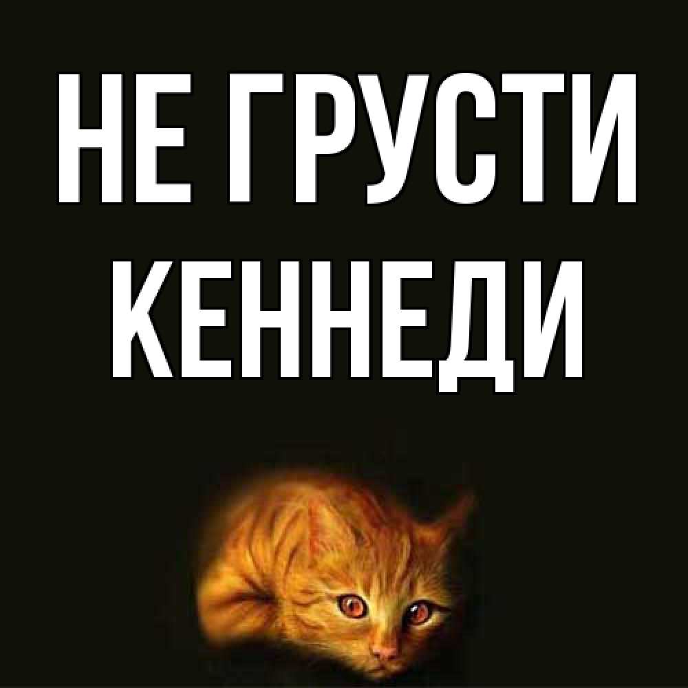 Открытка на каждый день с именем, Кеннеди Не грусти лежащий кот в темноте Прикольная открытка с пожеланием онлайн скачать бесплатно 