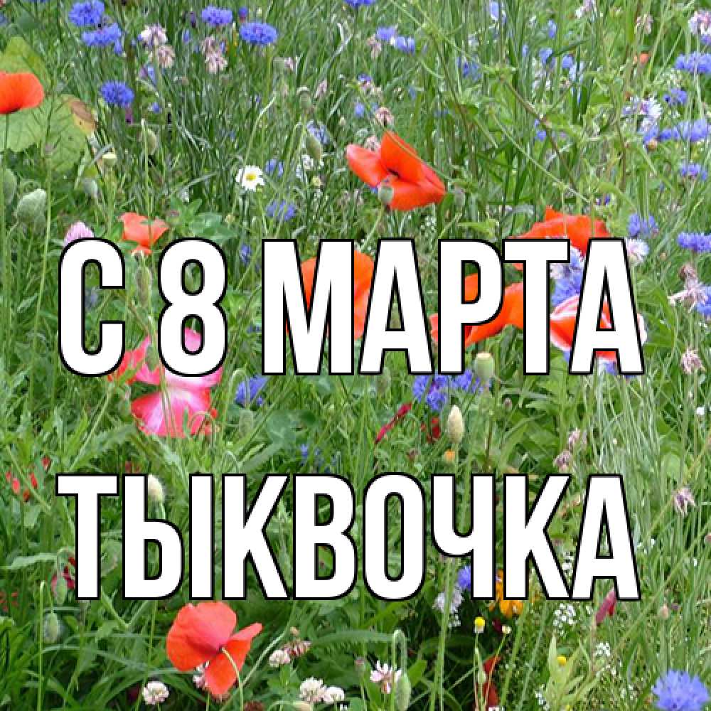 Открытка на каждый день с именем, тыквочка C 8 МАРТА международный женский день 4 Прикольная открытка с пожеланием онлайн скачать бесплатно 
