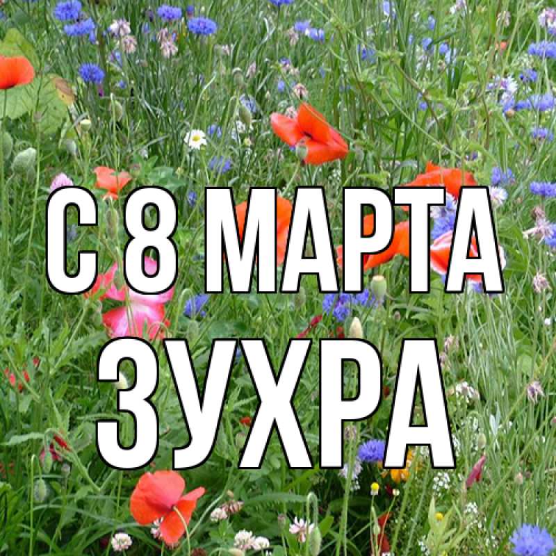 Картинка C 8 МАРТА, Зухра