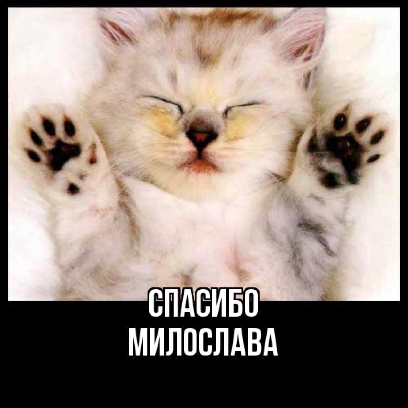 Картинка Спасибо, Милослава