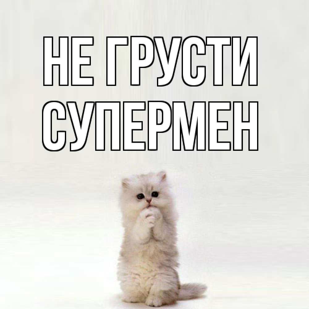 Открытка на каждый день с именем, Супермен Не грусти грустный кот Прикольная открытка с пожеланием онлайн скачать бесплатно 