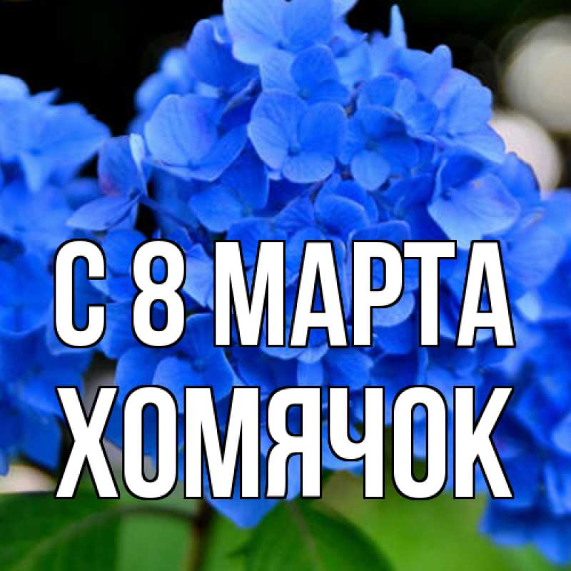 Картинка C 8 МАРТА, Хомячок