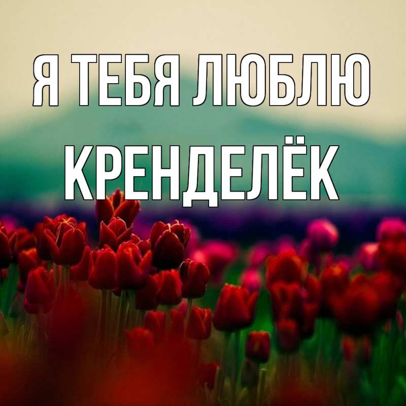 Картинка Я тебя люблю, Кренделёк