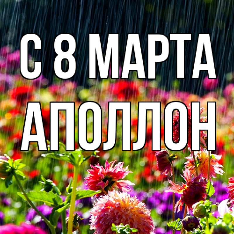 Картинка C 8 МАРТА, Аполлон