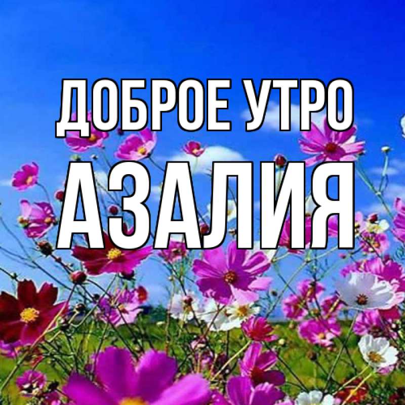 Картинка Доброе утро, Азалия